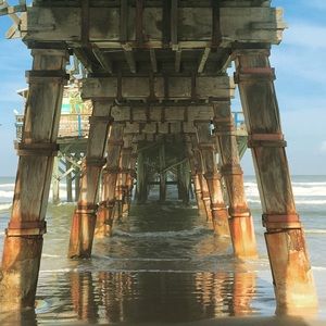 Meet your Posher, Tessa